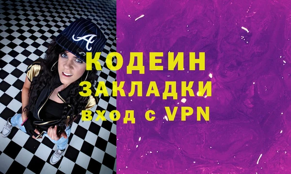 дживик Бородино