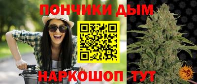 крисы Абакан