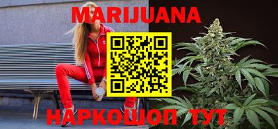 крисы Абакан