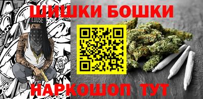 крисы Абакан