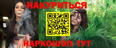 крисы Абакан