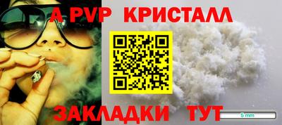 крисы Абакан