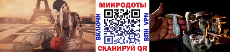 Псилоцибиновые грибы Psilocybine cubensis  Тейково 