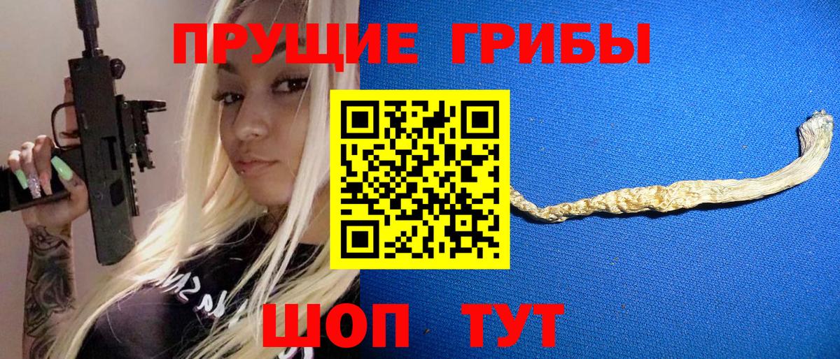 где найти   Вход с VPN  Тейково  Галлюциногенные грибы прущие грибы  Галлюциногенные грибы MAGIC MUSHROOMS 
