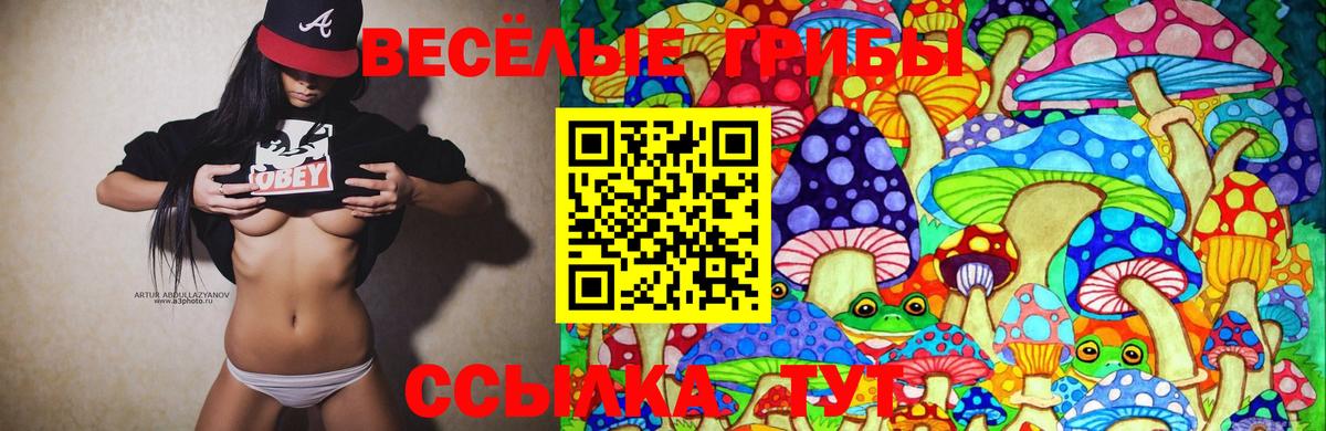 Псилоцибиновые грибы Psilocybine cubensis Тейково