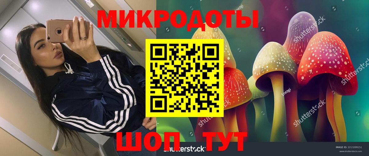 Псилоцибиновые грибы прущие грибы Тейково